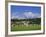 Cricket on Village Green, Surrey, England-Jon Arnold-Framed Photographic Print