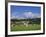 Cricket on Village Green, Surrey, England-Jon Arnold-Framed Photographic Print