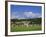 Cricket on Village Green, Surrey, England-Jon Arnold-Framed Photographic Print