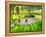 Cricket Practice, Botanical Gardens, Dominica, Grenadines, West Indies-Andrew Macara-Framed Premier Image Canvas