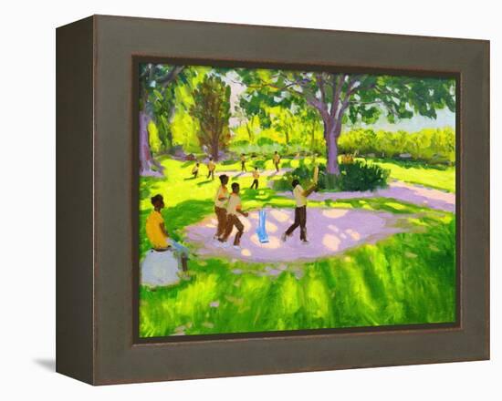 Cricket Practice, Botanical Gardens, Dominica, Grenadines, West Indies-Andrew Macara-Framed Premier Image Canvas