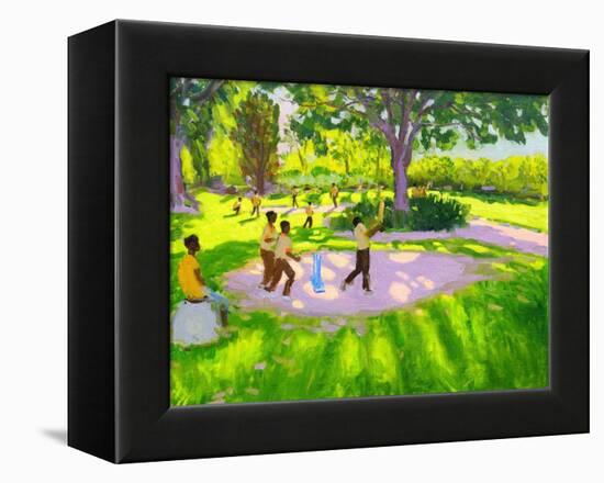 Cricket Practice, Botanical Gardens, Dominica, Grenadines, West Indies-Andrew Macara-Framed Premier Image Canvas