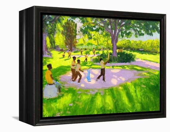 Cricket Practice, Botanical Gardens, Dominica, Grenadines, West Indies-Andrew Macara-Framed Premier Image Canvas