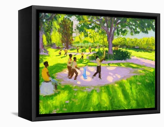 Cricket Practice, Botanical Gardens, Dominica, Grenadines, West Indies-Andrew Macara-Framed Premier Image Canvas