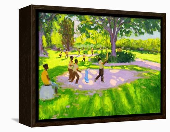 Cricket Practice, Botanical Gardens, Dominica, Grenadines, West Indies-Andrew Macara-Framed Premier Image Canvas