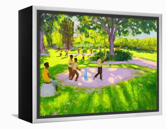 Cricket Practice, Botanical Gardens, Dominica, Grenadines, West Indies-Andrew Macara-Framed Premier Image Canvas