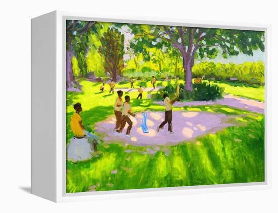 Cricket Practice, Botanical Gardens, Dominica, Grenadines, West Indies-Andrew Macara-Framed Premier Image Canvas