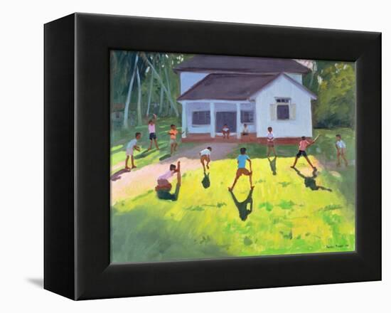 Cricket, Sri Lanka, 1998-Andrew Macara-Framed Premier Image Canvas