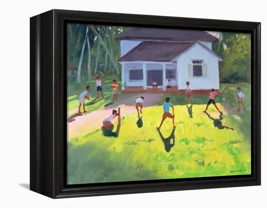 Cricket, Sri Lanka, 1998-Andrew Macara-Framed Premier Image Canvas