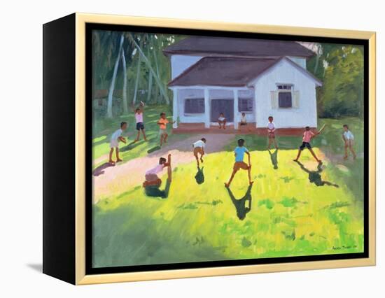 Cricket, Sri Lanka, 1998-Andrew Macara-Framed Premier Image Canvas