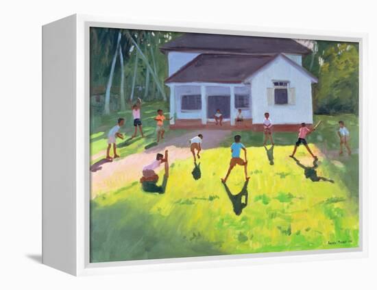 Cricket, Sri Lanka, 1998-Andrew Macara-Framed Premier Image Canvas