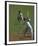 Cricket-Boscoe Holder-Framed Premium Giclee Print