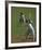 Cricket-Boscoe Holder-Framed Premium Giclee Print