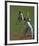 Cricket-Boscoe Holder-Framed Premium Giclee Print