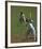 Cricket-Boscoe Holder-Framed Premium Giclee Print