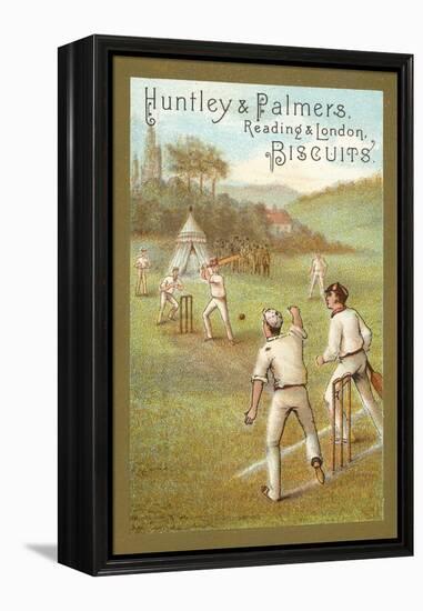 Cricket-null-Framed Premier Image Canvas