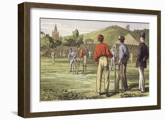 Cricket-null-Framed Giclee Print