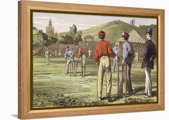 Cricket-null-Framed Premier Image Canvas