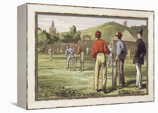 Cricket-null-Framed Premier Image Canvas