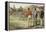 Cricket-null-Framed Premier Image Canvas