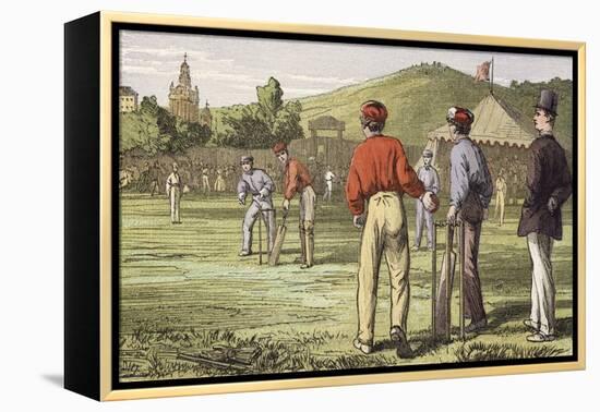 Cricket-null-Framed Premier Image Canvas