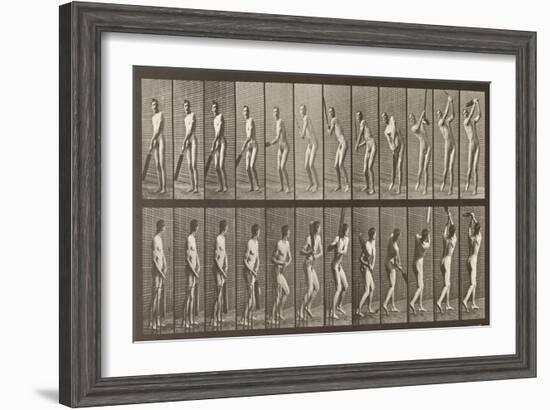 Cricketer, Plate 291 from 'Animal Locomotion', 1887-Eadweard Muybridge-Framed Giclee Print