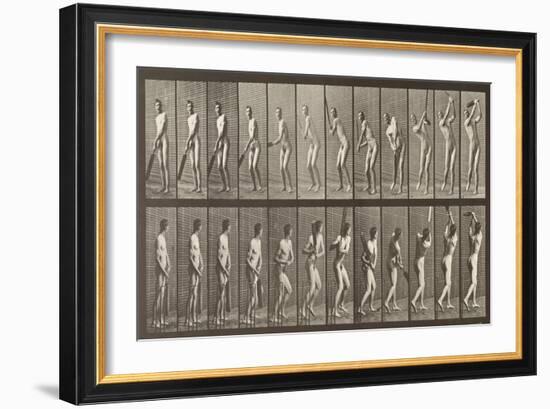 Cricketer, Plate 291 from 'Animal Locomotion', 1887-Eadweard Muybridge-Framed Giclee Print