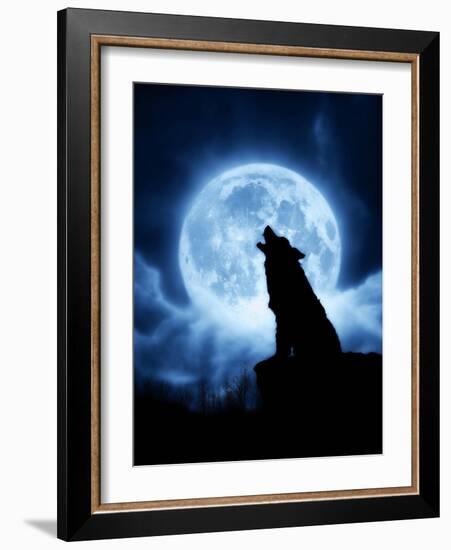 Cries of the Night-Julie Fain-Framed Art Print