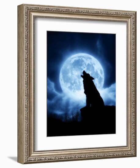 Cries of the Night-Julie Fain-Framed Art Print