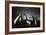 Criminal Investigation-Victoria Ivanova-Framed Photographic Print