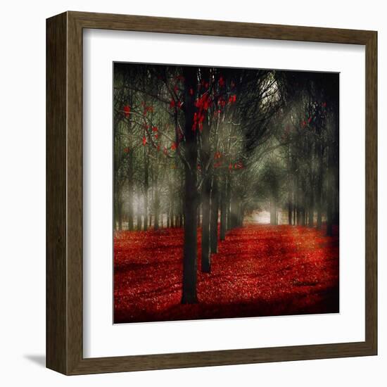 Crimson 12-Tracey Telik-Framed Art Print