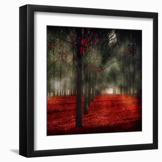 Crimson 12-Tracey Telik-Framed Art Print