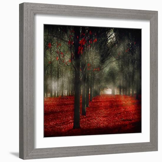 Crimson 12-Tracey Telik-Framed Art Print