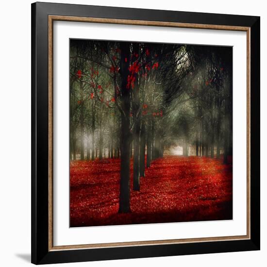 Crimson 12-Tracey Telik-Framed Art Print