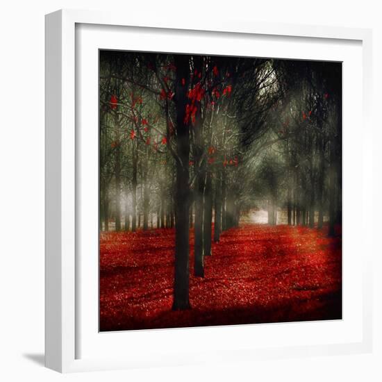 Crimson 12-Tracey Telik-Framed Art Print