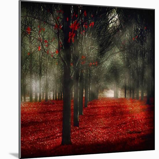 Crimson 12-Tracey Telik-Mounted Art Print