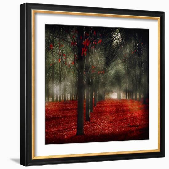 Crimson 12-Tracey Telik-Framed Art Print