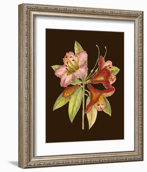 Crimson Blooms I-Samuel Curtis-Framed Art Print