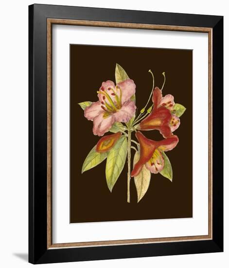 Crimson Blooms I-Samuel Curtis-Framed Art Print