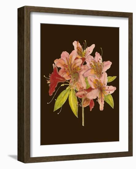 Crimson Blooms II-Samuel Curtis-Framed Art Print