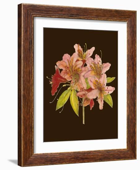 Crimson Blooms II-Samuel Curtis-Framed Art Print