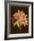 Crimson Blooms II-Samuel Curtis-Framed Art Print