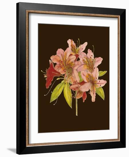 Crimson Blooms II-Samuel Curtis-Framed Art Print