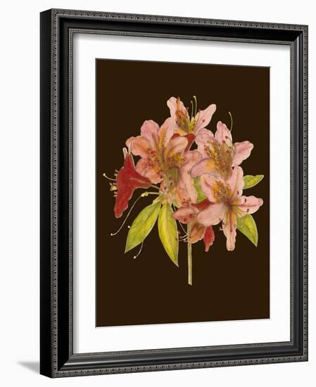 Crimson Blooms II-Samuel Curtis-Framed Art Print