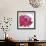 Crimson Flower I-Sandra Jacobs-Framed Art Print displayed on a wall