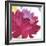 Crimson Flower I-Sandra Jacobs-Framed Art Print