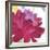 Crimson Flower I-Sandra Jacobs-Framed Art Print