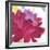 Crimson Flower I-Sandra Jacobs-Framed Art Print