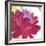 Crimson Flower I-Sandra Jacobs-Framed Art Print