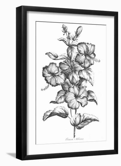 Crimson Hibiscus-Porter Design-Framed Giclee Print